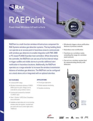RAEPoint Datasheet