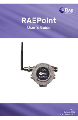 RAEPoint User Guide